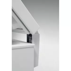 Mraznička truhlicová Whirlpool WH1410 2 Mraznička truhlicová Whirlpool WH1410 2